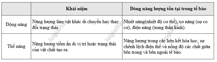 Lý thuyết khái quát về chuyển hóa vật chất và năng lượng - Sinh 10 Kết nối tri thức</>