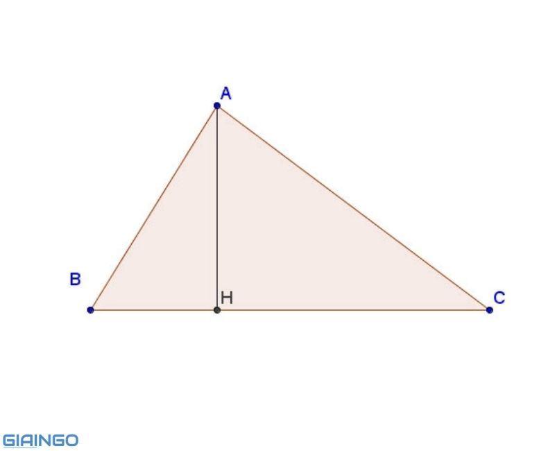 duong cao trong tam giac can