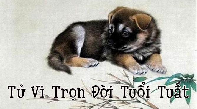 tử vi trọn đời tuổi tuất