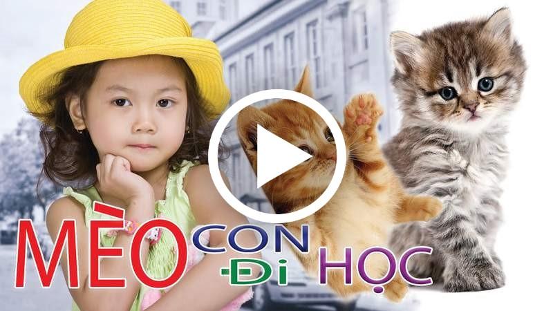 Top 10 Bài Hát Về Con Mèo Cực Hay Cho Trẻ Mầm Non