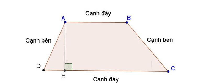 Đặc điểm của hình thang. (Ảnh: Sưu tầm internet)