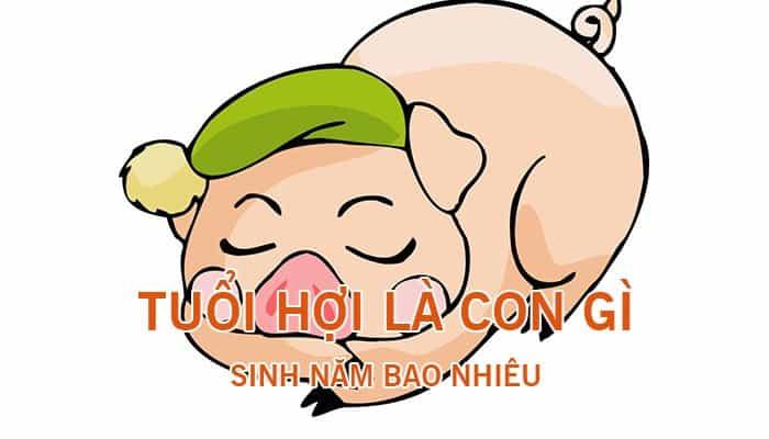 tuổi con hợi sinh năm bao nhiêu