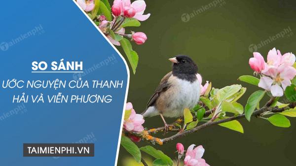 So sánh ước nguyện của Thanh Hải trong Mùa xuân nho nhỏ và Viễn Phương trong Viếng lăng Bác