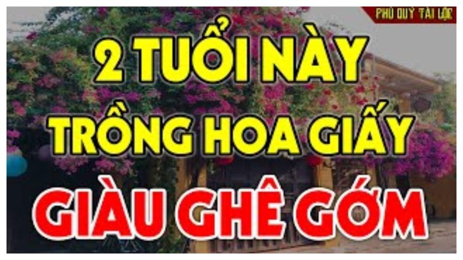 ai nen trong hoa giay