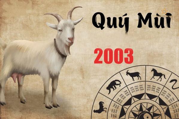 quý mùi 2003 hợp màu gì 2023