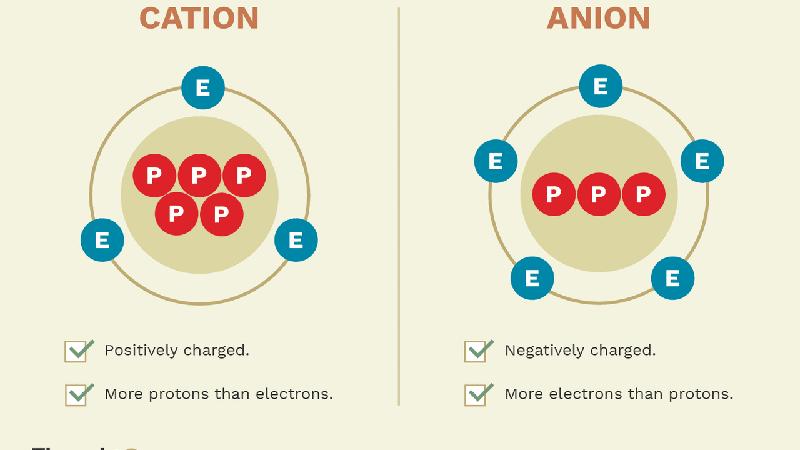 Anion Cation là gì? Sự khác biệt giữ Anion và Cation