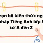 Trọn bộ kiến thức ngữ pháp Tiếng Anh lớp 8 từ A đến Z