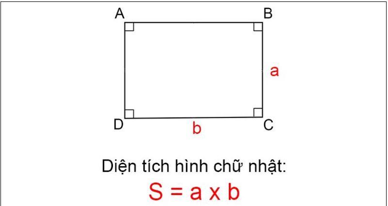 Diện tích hình chữ nhật lớp 4 Tổng hợp kiến thức và bài tập tính diện tích hay nhất