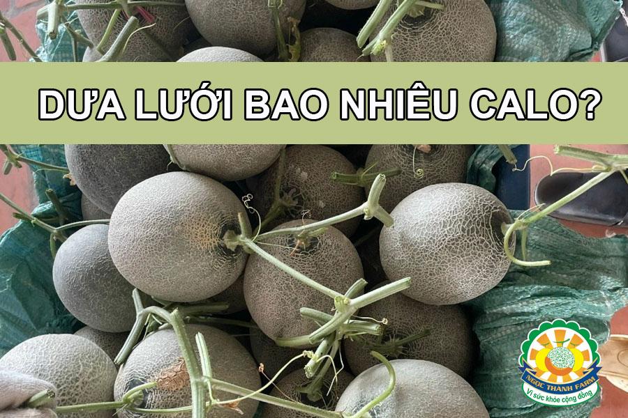 Dưa lưới bao nhiêu calo? Ăn dưa lưới có mập không?