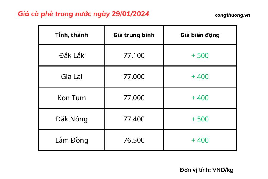 Giá cà phê hôm nay, ngày 29/1/2024: Giá cà phê Robusta trên sàn London