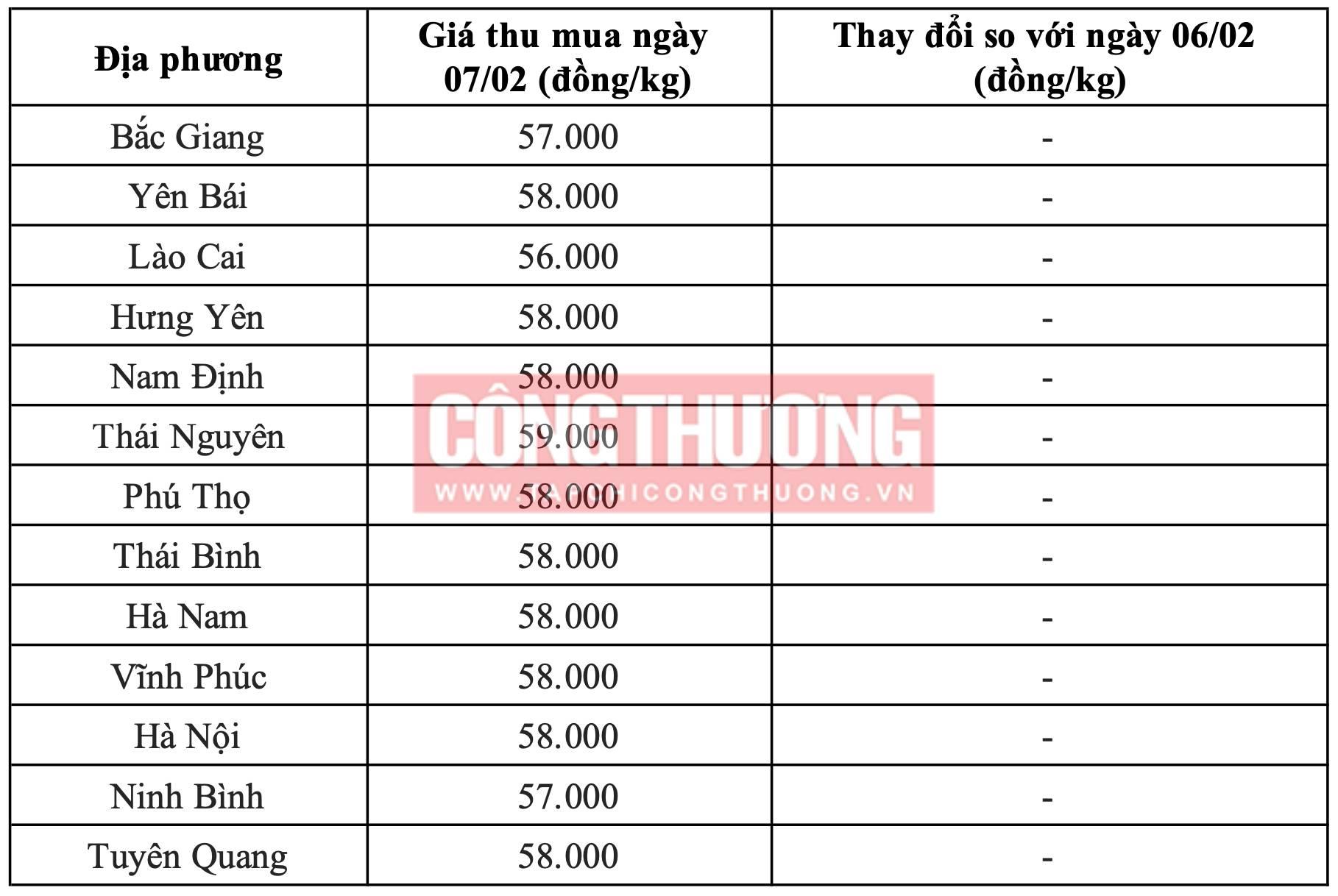 Giá heo hơi hôm nay tại miền Bắc