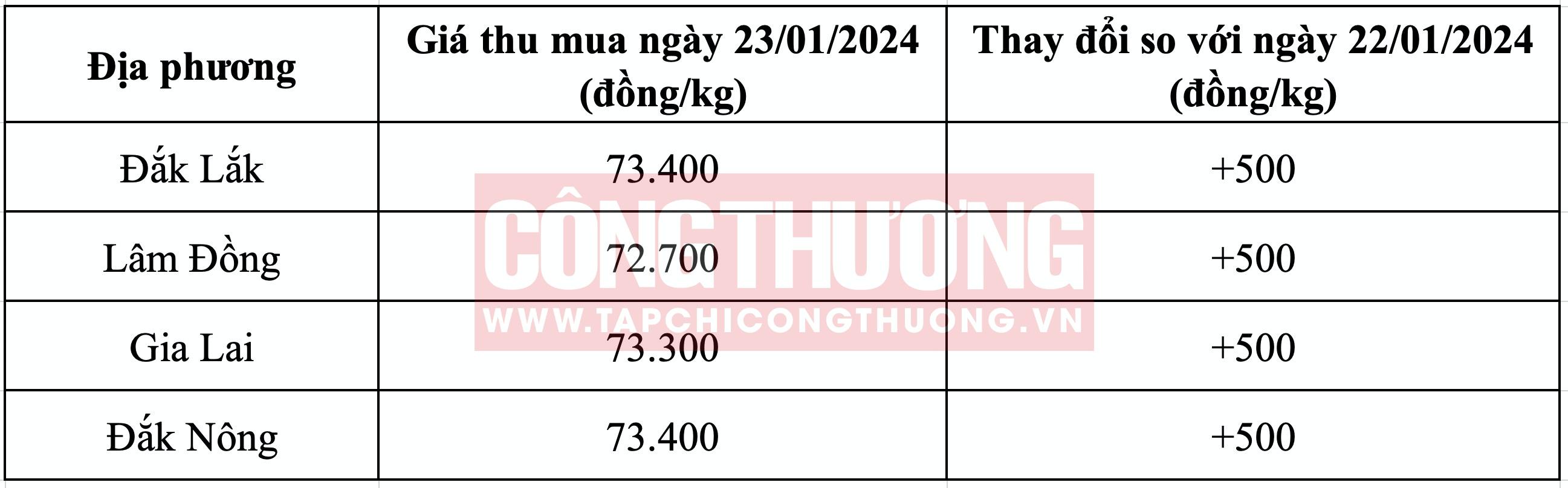 Giá cà phê hôm nay Tạp chí Công Thương