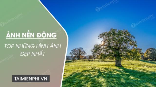 tuyen tap nhung hinh nen dong dep nhat 2020