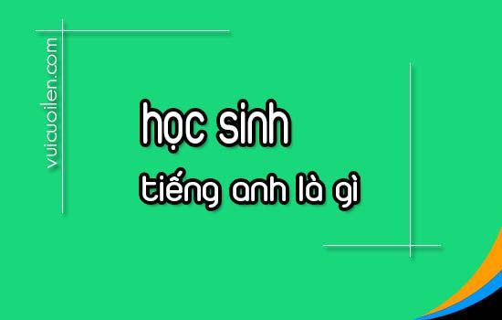 Học sinh tiếng anh là gì