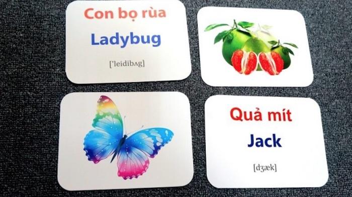 Dùng Flashcard để bé học từ vựng về con vật