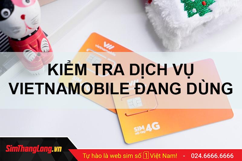 Tại sao cần kiểm tra dịch vụ đang sử dụng Vietnamobile?