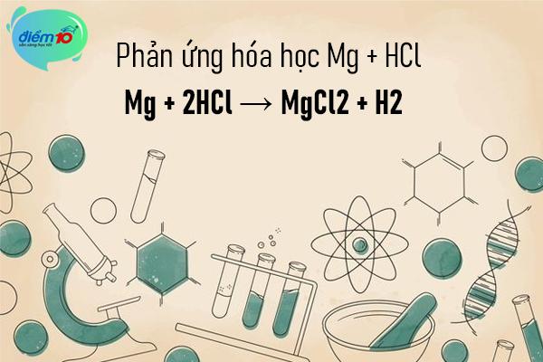 Phản ứng hóa học Mg + HCl