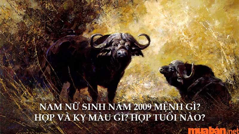 Nam nữ sinh năm 2009 mệnh gì? Hợp - kỵ màu gì và hợp tuổi nào?