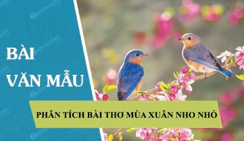 phan tich mua xuan nho nho cua thanh hai ngan