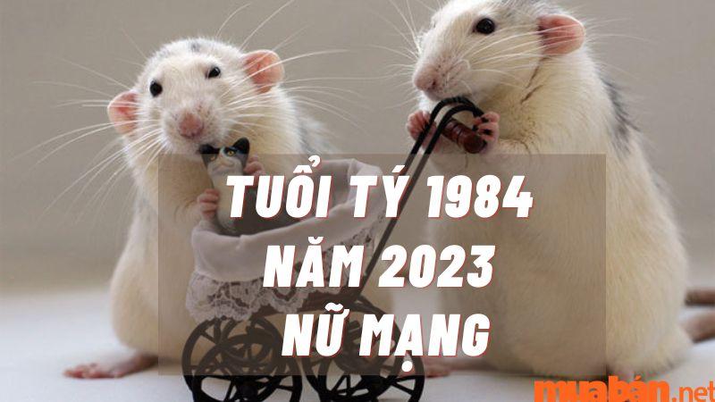 Tử Vi Tuổi Tý 1984 Năm 2023 Nữ Mạng Luận Giải Chi Tiết Chính Xác