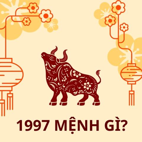 Sinh năm 1997 mệnh gì? Tuổi con gì?