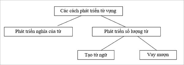 soan-bai-tong-ket-ve-tu-vung-tiep-theo-1