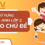 Tổng hợp 150+ từ vựng tiếng Anh lớp 2 bé cần nắm vững