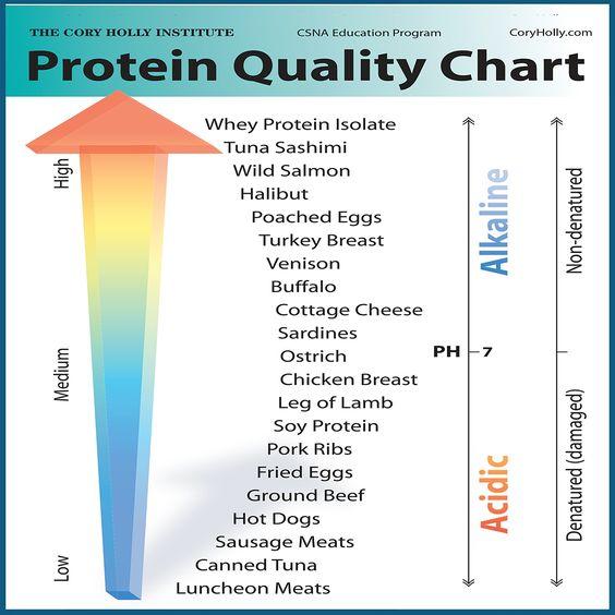 bang-so-sanh-protein