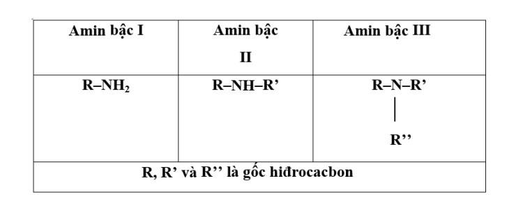 bac-cua-amin