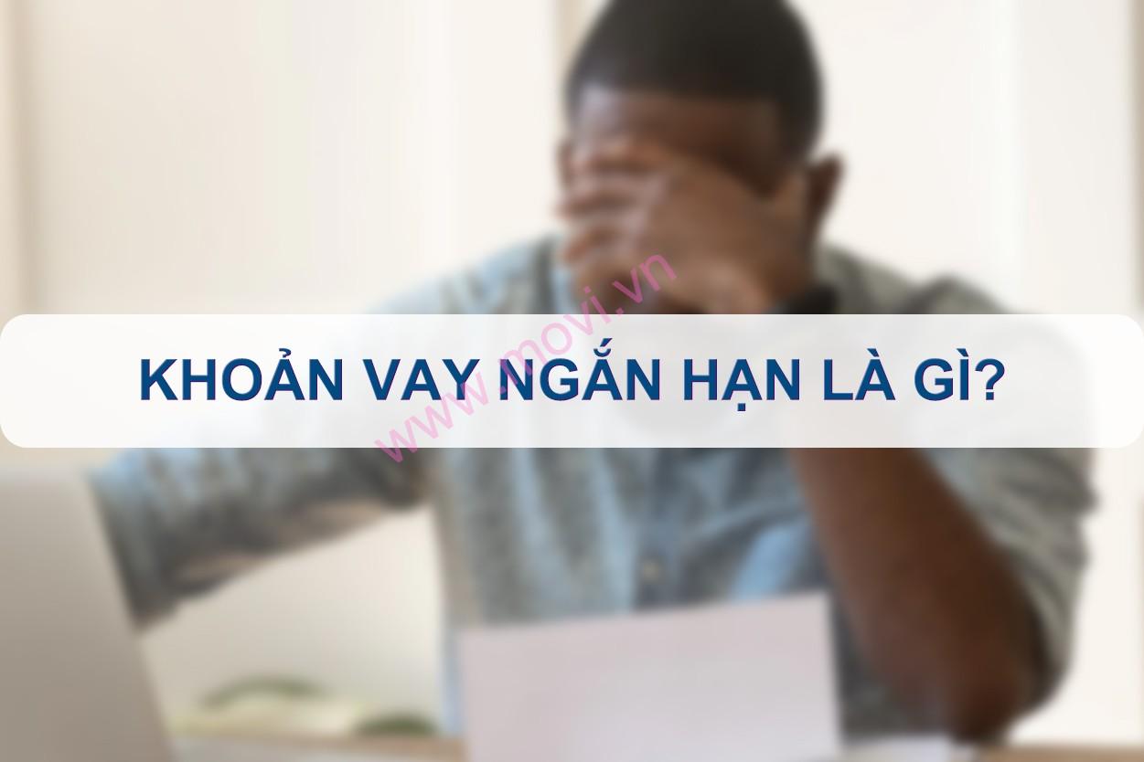 Khoản vay ngắn hạn, Khoản vay ngắn hạn là gì