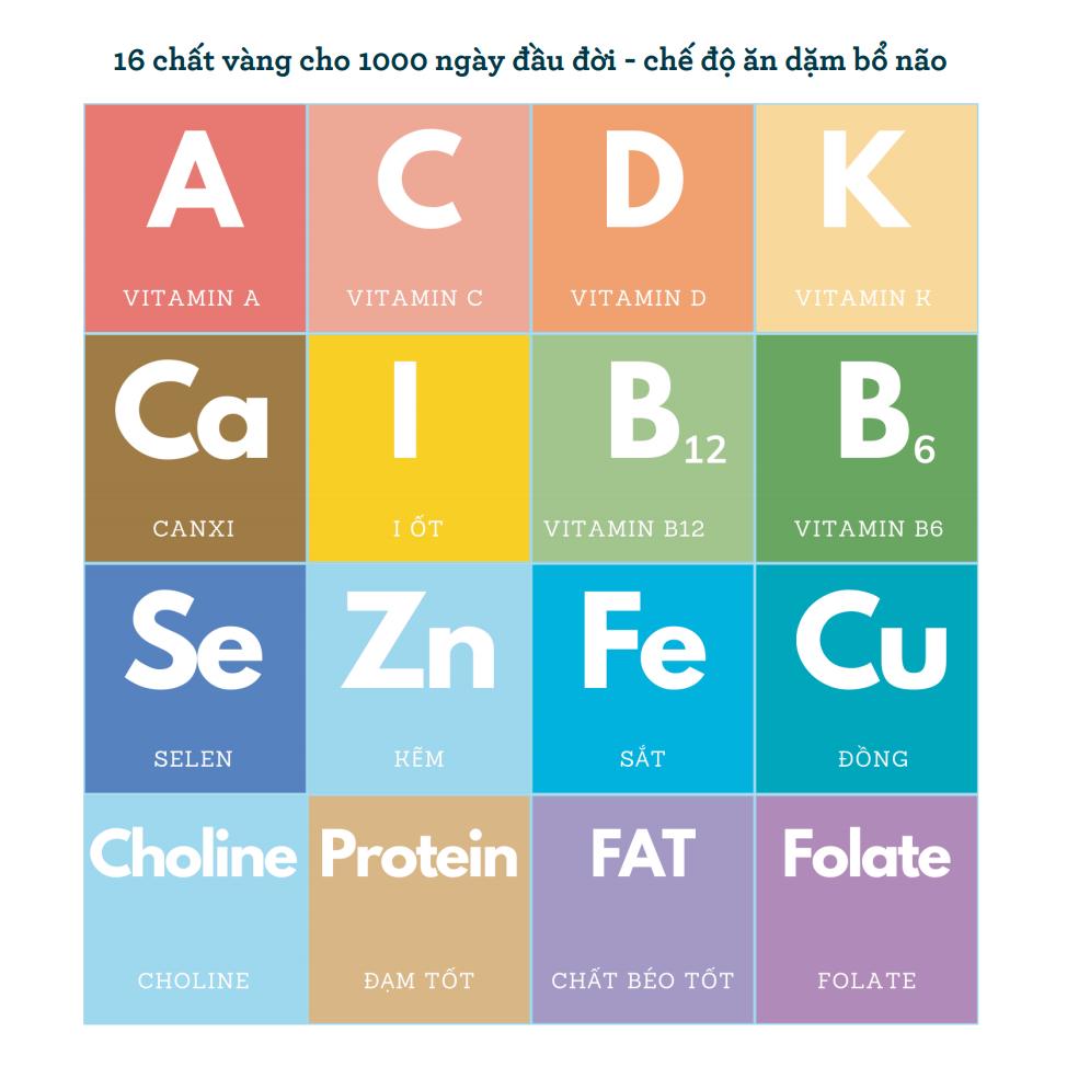 Ăn dặm bổ não – Cách làm 4 món mì ý tập nhai ngon đúng điệu cho bé từ 12 – 24 tháng.