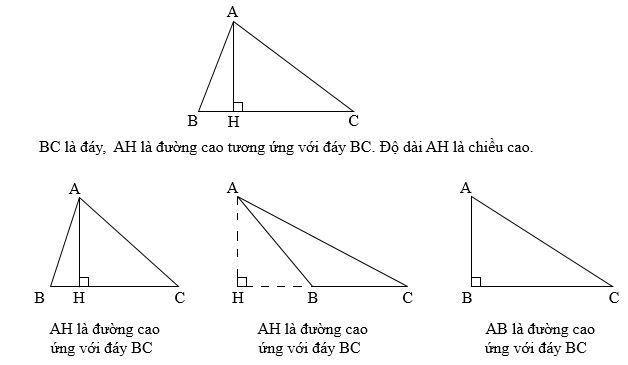 Tam giác. Diện tích hình tam giác