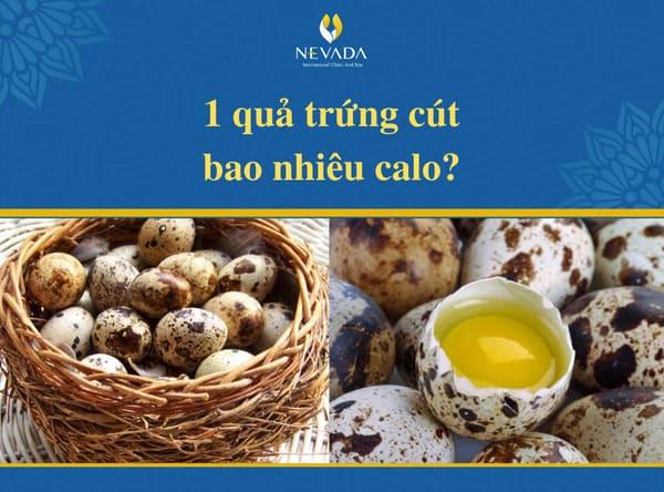 10 quả trứng cút bao nhiêu calo, chiên, thịt kho, ăn luộc có mập không, 5, 1 cái, 2, trong, chim