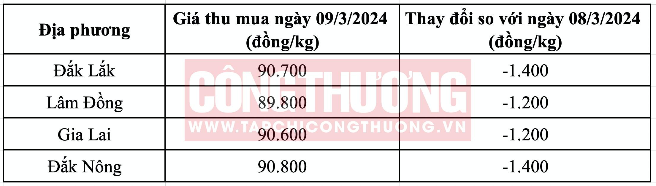 Giá cà phê hôm nay 9/3: Khan hàng, giá có thể lên đến 120.000 đồng/kg?