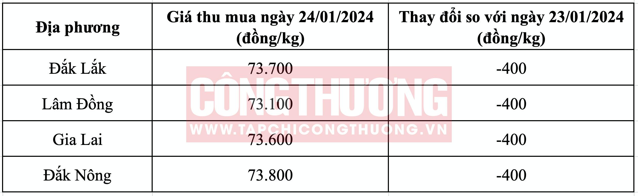 Giá cà phê hôm nay Tạp chí Công Thương