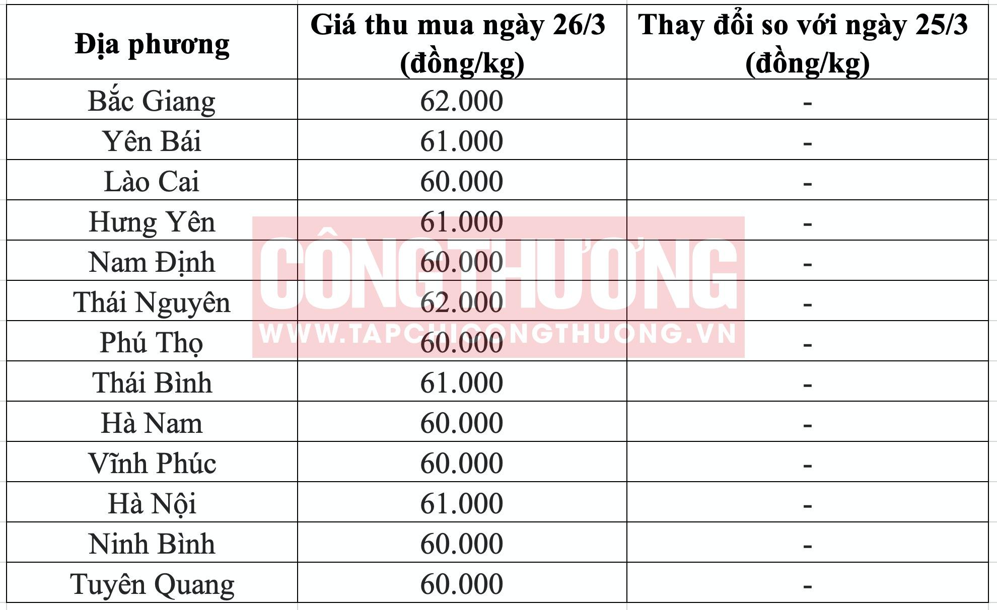 Giá heo hơi hôm nay tại miền Bắc Tạp chí Công Thương