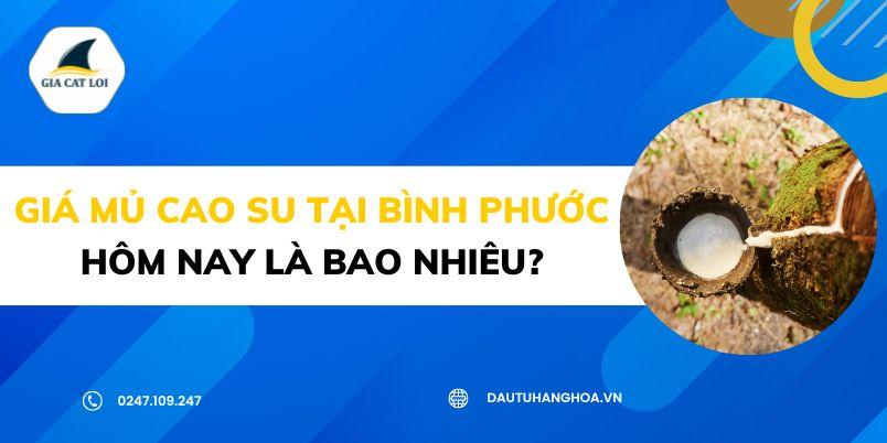 Giá mủ cao su tại Bình Phước hôm nay là bao nhiêu?