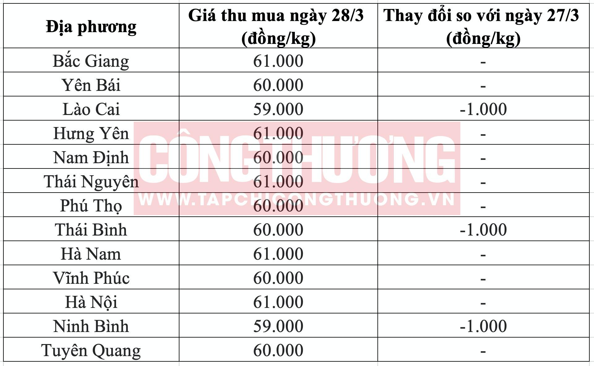 Giá heo hơi hôm nay 28/3: Nhiều hộ chăn nuôi đẩy mạnh bán ra, giá có thể tiếp tục giảm