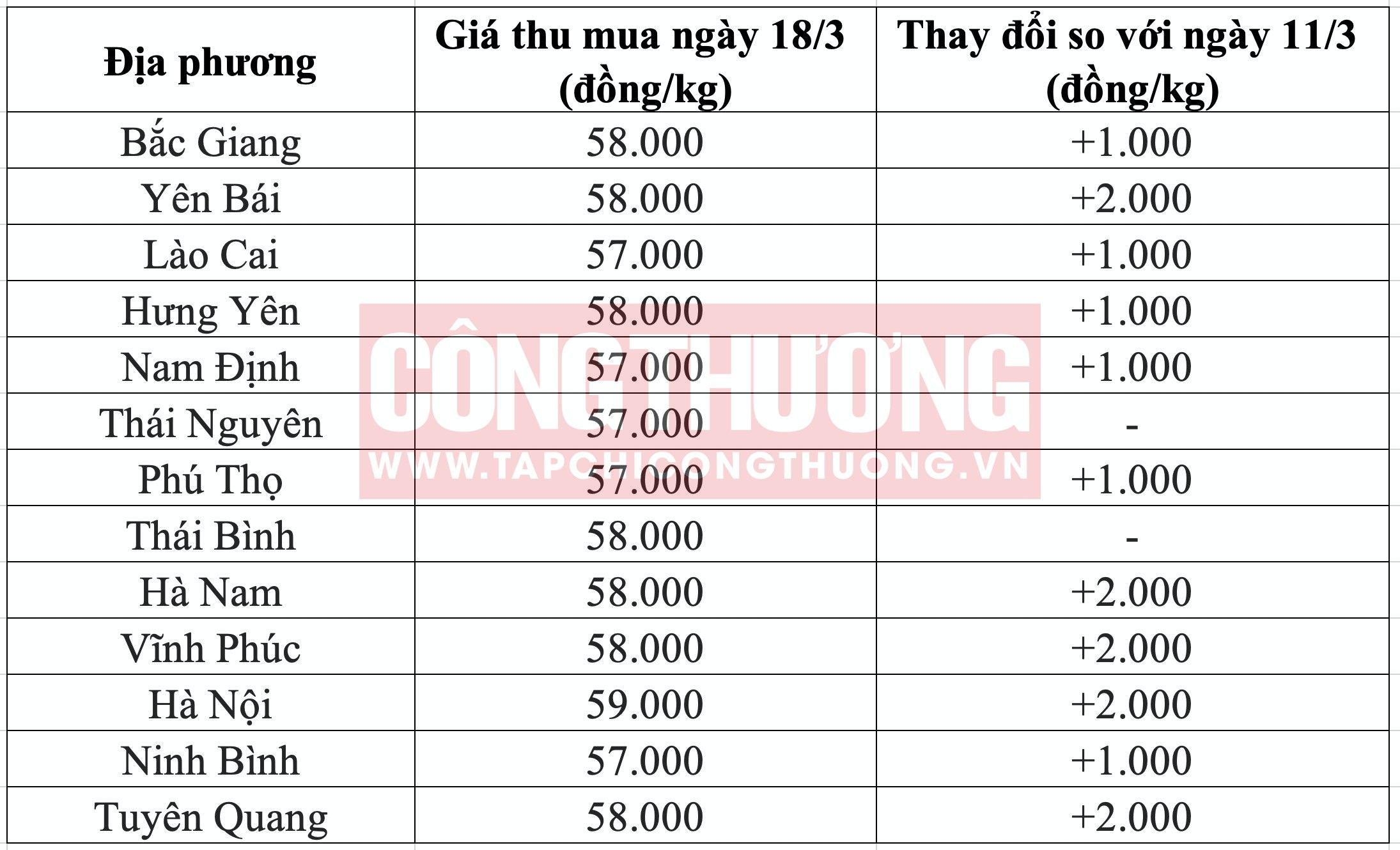 Giá heo hơi hôm nay 18/3: Lên cao nhất 8 tháng, chạm mức 61.000 đồng/kg