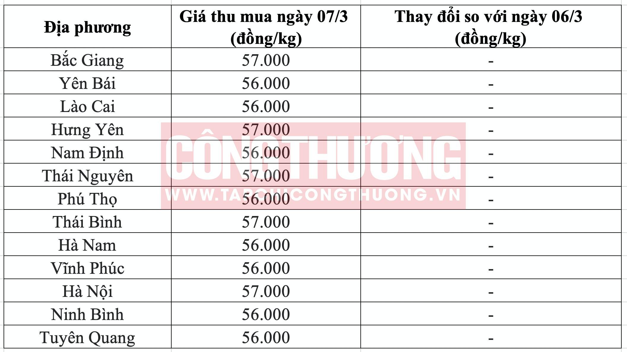 Giá heo hơi hôm nay tại miền Bắc