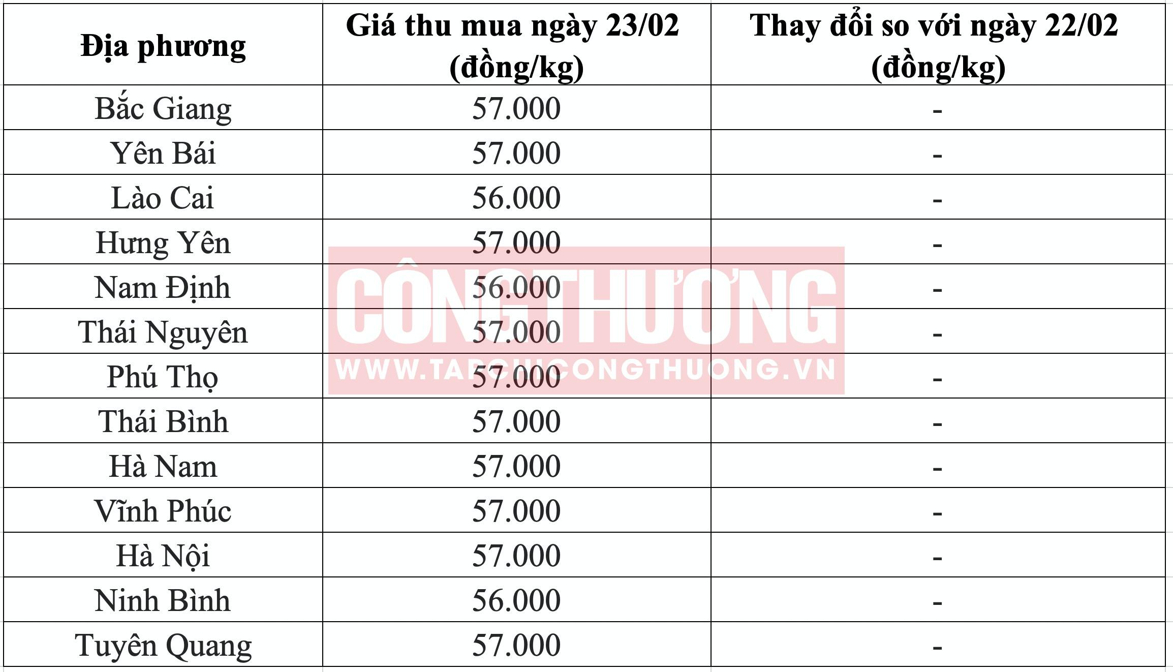 Giá heo hơi hôm nay 23/2: Giá tại Trung Quốc giảm sâu, ảnh hưởng đến thị trường Việt Nam