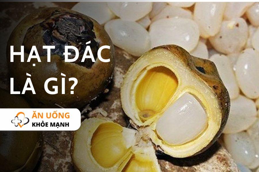 Hạt đác là gì