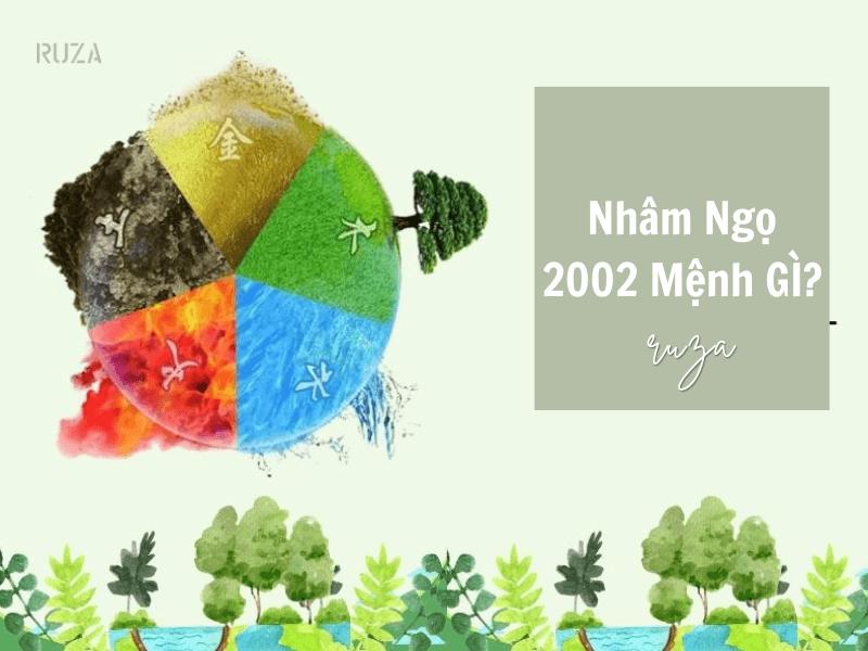 2002 mệnh gì?