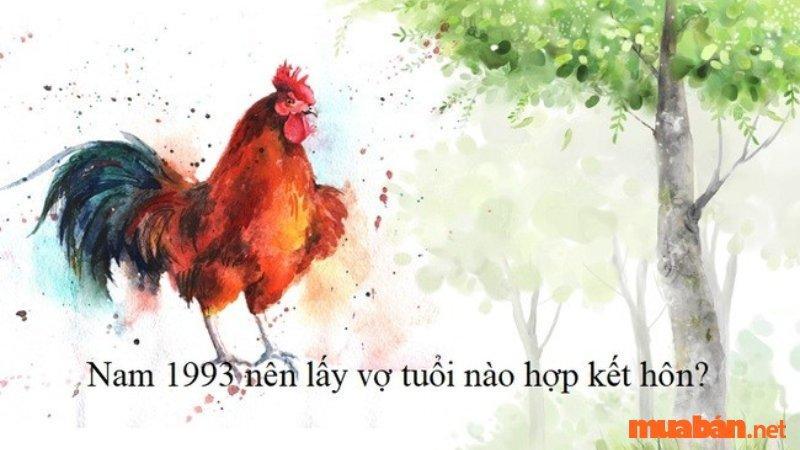 Nam 1993 nên lấy vợ tuổi nào hợp?