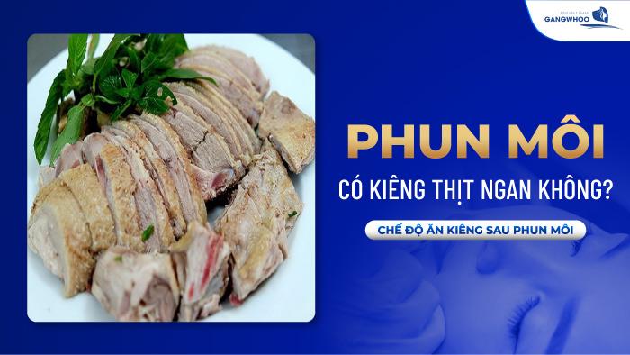 Phun Môi Có Kiêng Thịt Ngan Không? Chế Độ Ăn Kiêng Sau Phun Môi