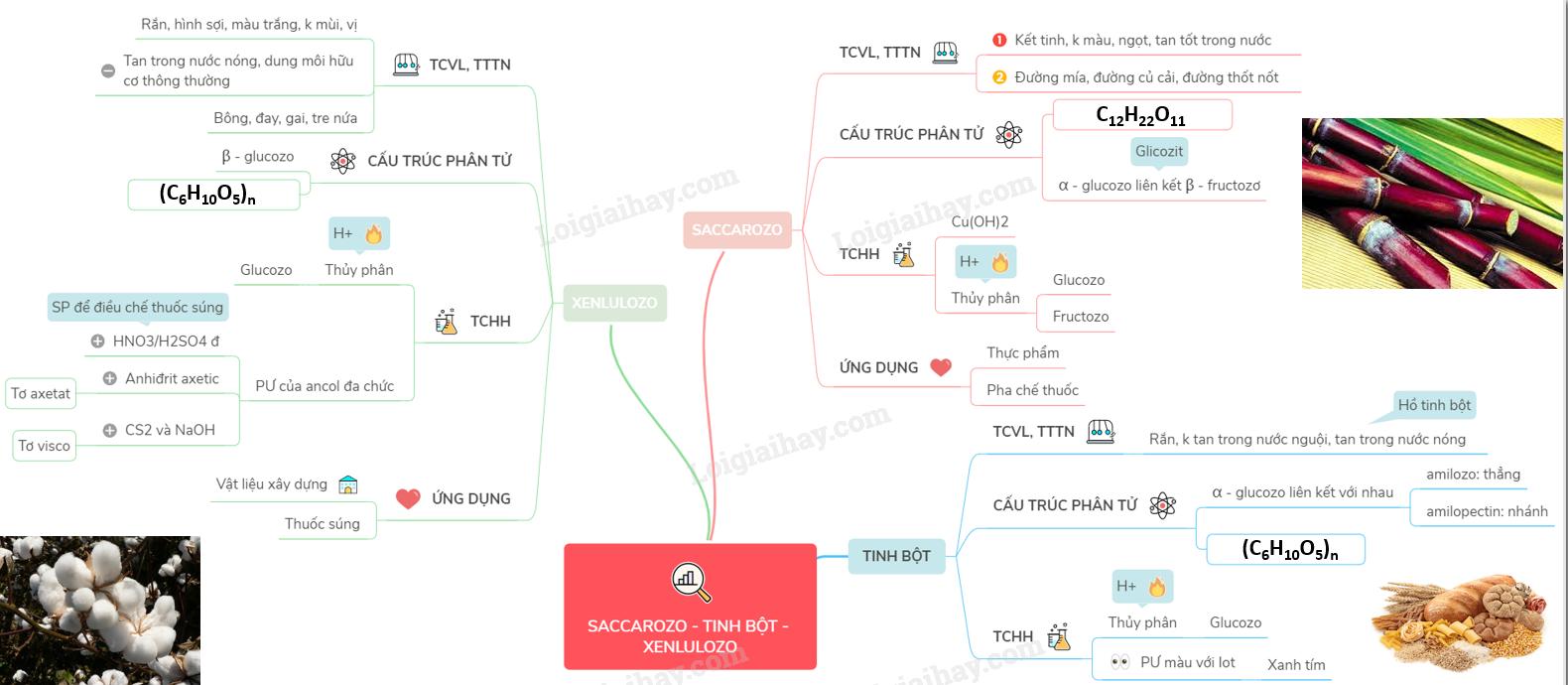 Lý thuyết Saccarozơ, tinh bột và xenlulozơ</>