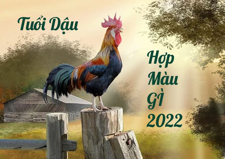 tuổi Dậu hợp màu gì năm 2022