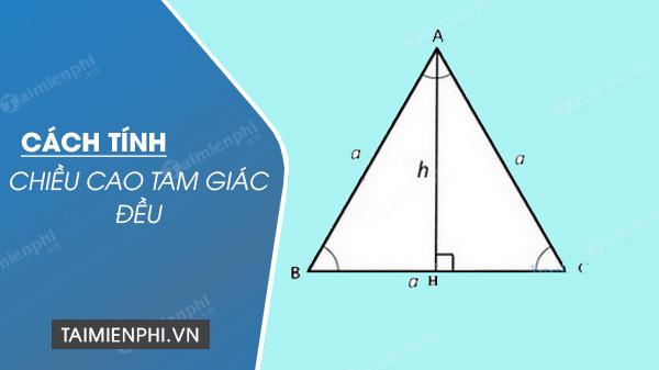 Bí quyết tính đường cao tam giác đều