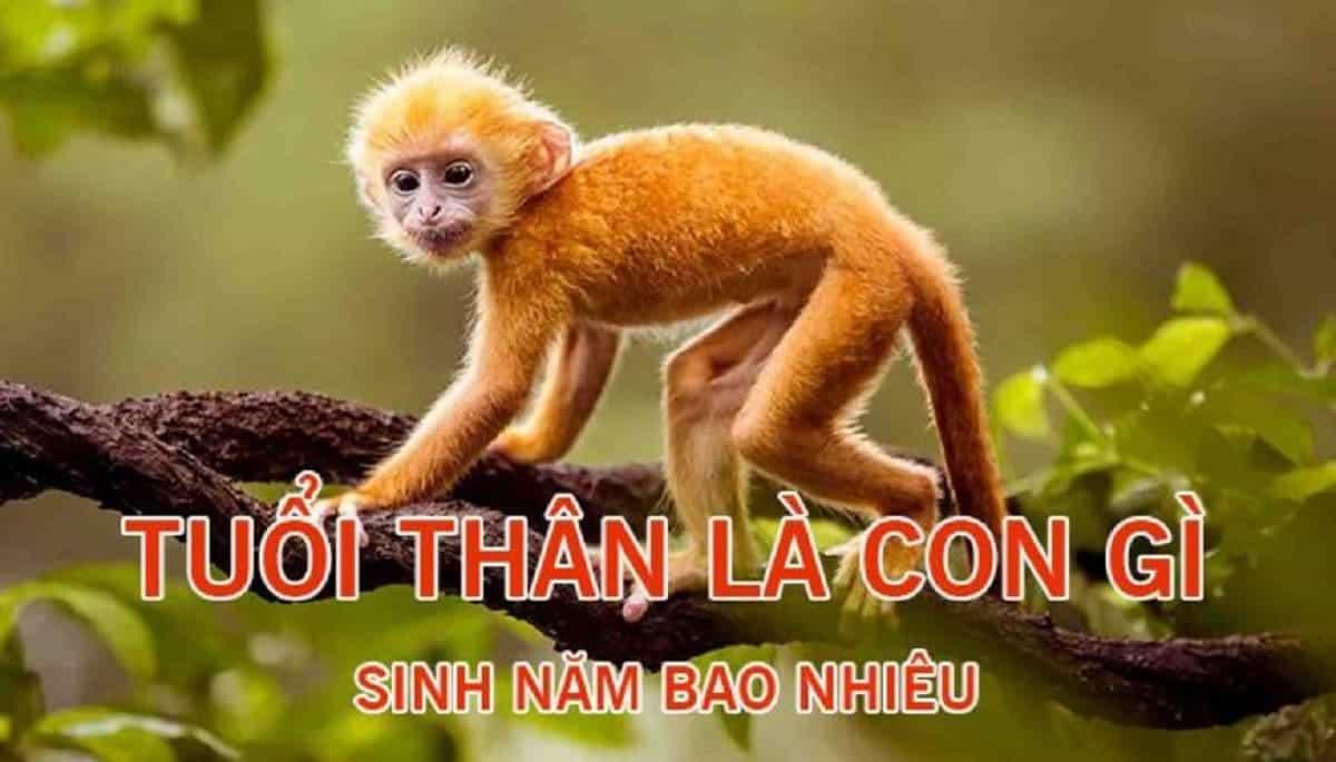 tuổi giáp thân sinh năm bao nhiêu