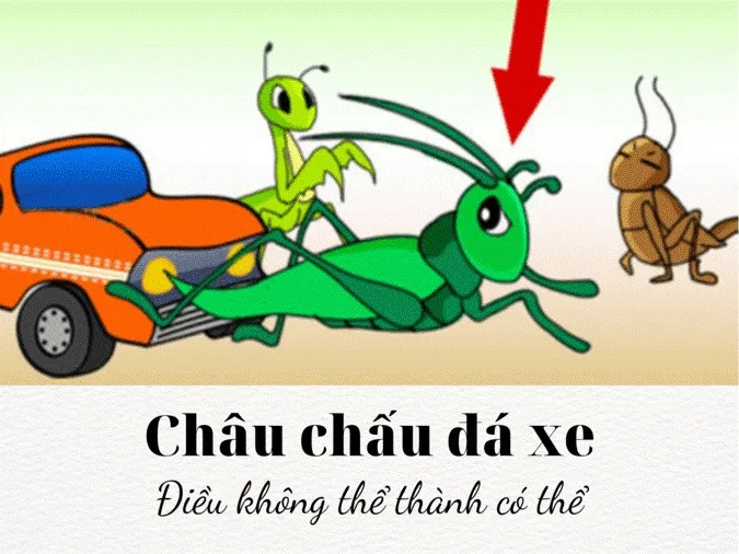 Ý nghĩa câu ca dao “Nực cười châu chấu đá xe, tưởng rằng chấu ngã ai dè xe nghiêng”